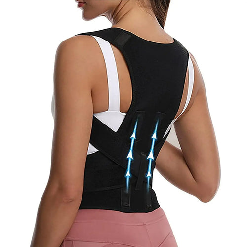 Back Support Belt
